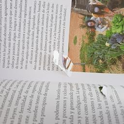 Manual práctico del huerto ecológico: huertos familiares, huertos ...