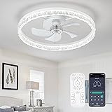 FTZVRD Ceiling Fans with Lights, 24 Inch Ceiling