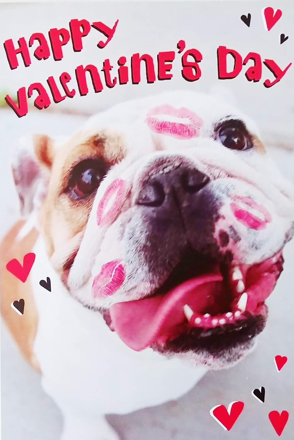 happy valentines day bulldog