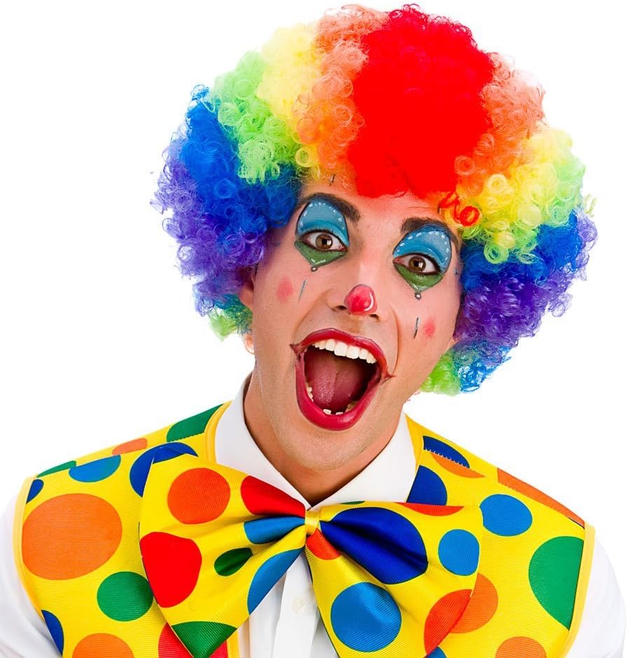Wicked Costumes Adult Rainbow Afro Fancy Dress Wig, Multi-coloured