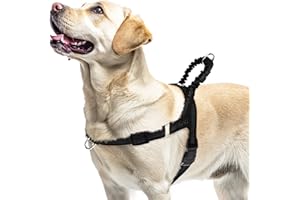 PUPTECK No Pull Dog Harness for Large Dogs, Adjustable Reflective Pet Vest Harness with Bungee Handle, Escape Proof No Choke Harness for Large Dogs Walking Training, Black L