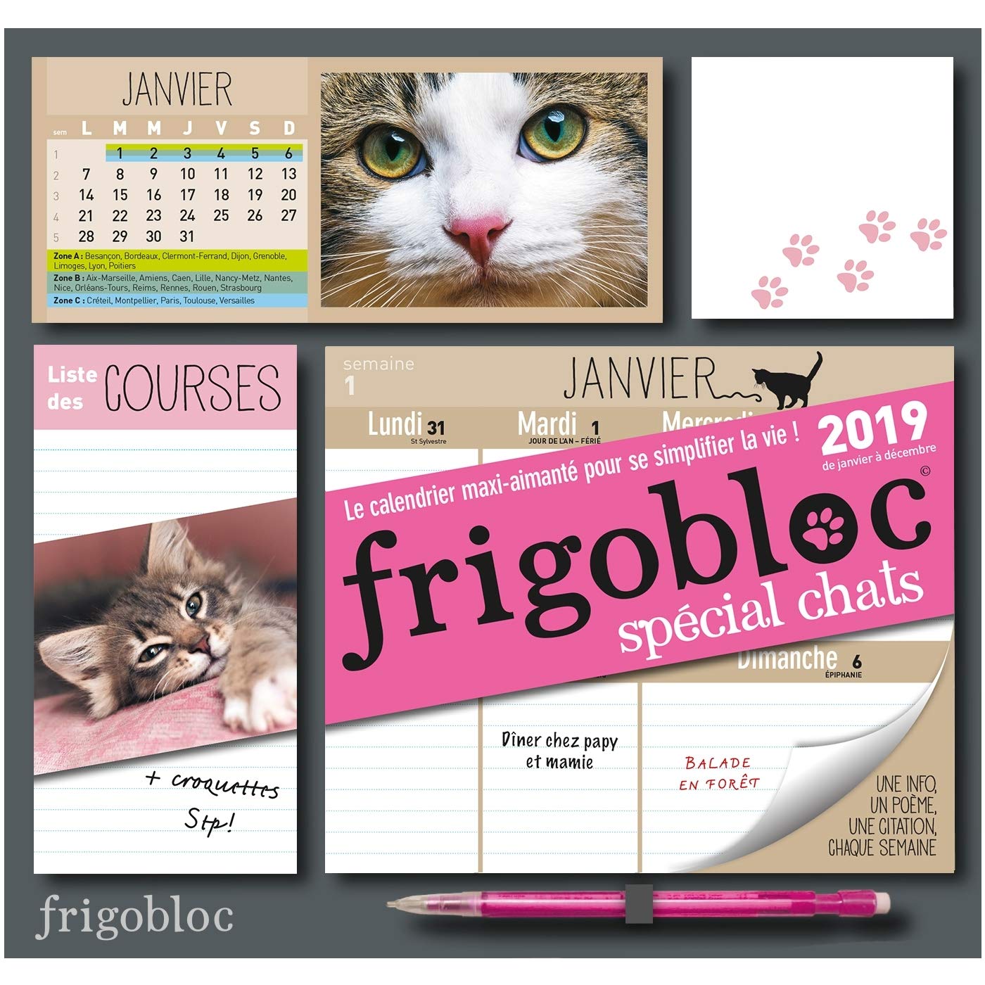 Frigobloc 19 Special Chats Calendrier D Organisation Familiale P Bac Frigogamm French Edition Amazon Com Books