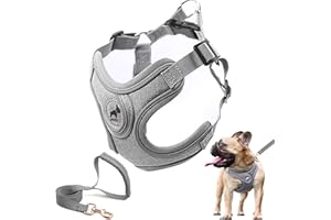 SAEGYPET Dog Harness with Leash Set, No Pull Adjustable Step in with Breathable Padded Puppy Harness for Small Medium Large D