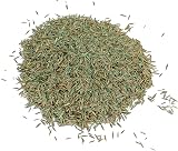 Gro-Sure Fast Acting Grass Lawn Seed 50 m2 1.5 kg Blue Green view 5