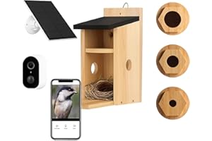 Bestmotoring Bird Houses for Outside, Smart Home with Camera, AI Recognition, IP66 Waterproof, 2-Way Audio, App Control, 4MP Color Night Vision, Solar-Powered, Cloud & SD Storage