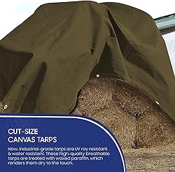 Tarps Now Canvas Tarp, (30' x 30') with Brass