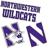 Desert Cactus Northwestern University Sticker NU Wildcats Vinyl Decals Laptop Water Bottle Car Scrapbook T5 (Type 5-1)