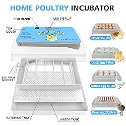 Incubators for Hatching Eggs 15-35 Eggs Incubator
