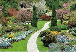 LFEEY 10x8ft Vinyl Spring Scenery Park Garden Backdrops for Photoshoot Flower Trees Green Meadow Path Photography Background Party Decoration Portrait Wallpaper Banner Decor Photo Booth Studio Props