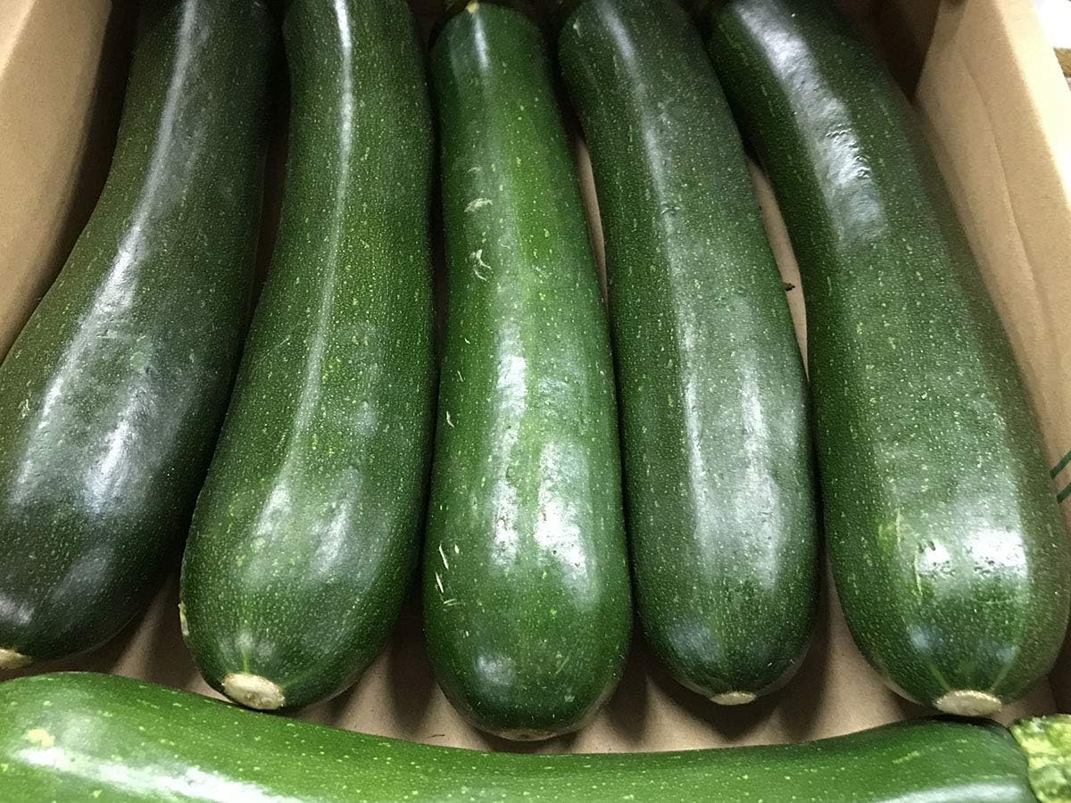 Amazon 宮崎県産 ズッキーニ 緑色 8 12本入り 箱 生鮮卸売市場 ズッキーニ 通販