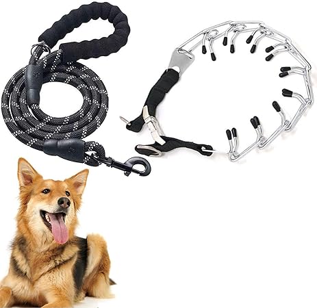 choke leash for dogs