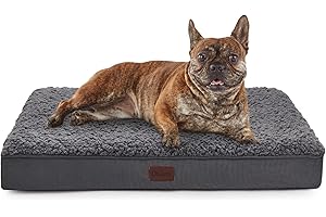 OhGeni Orthopedic Dog Beds for Medium Dogs, Dog Bed with Plush Egg Foam Support and Non-Slip Bottom, Waterproof and Machine Washable Removable Pet Bed Cover