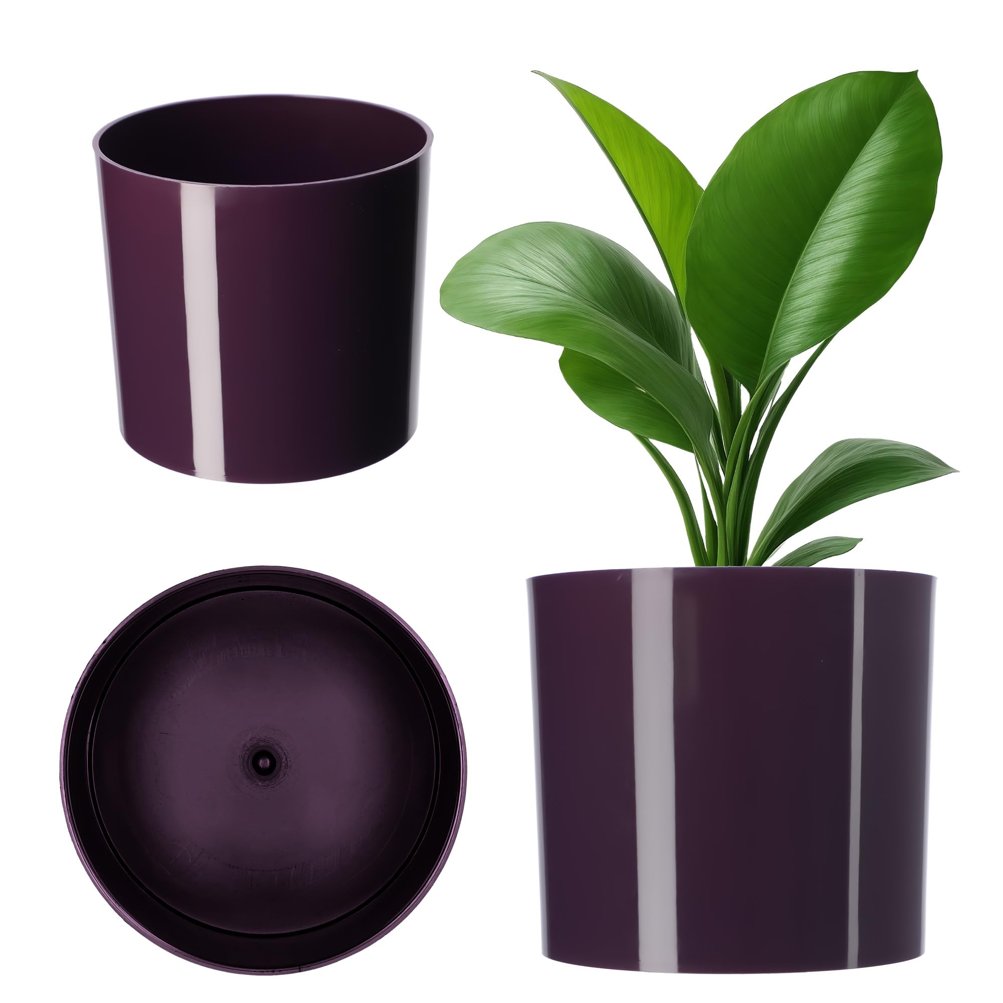 KADAX Plastic Flower Pot - 13 Colours - Shiny Flower Pot - Cylindrical Shape - Herb Pot - Flower Pot - Flower Pot - Flower Pot - Diameter 13.7 cm - Plum