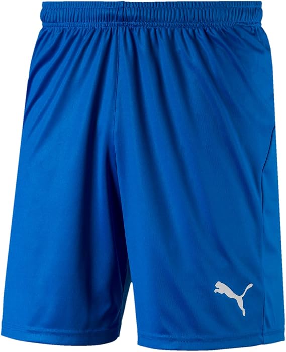 puma shorts men