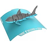 BIQU CryoGrip™ Pro Glacier 257x257mm for Bambu-Lab P1P/P1S/X1C/X1E/A1 3D Printers Panda Build Plate Double Sided Special Mate