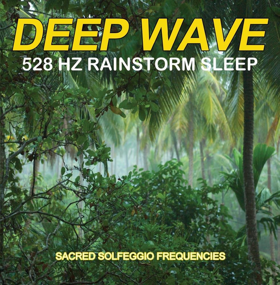 Sacred Solfeggio Frequencies Rainstorm Sleep Deep Wave 528 Hz Fall Asleep Fast Amazon Com Music