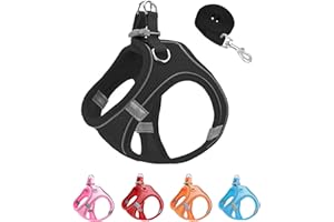 JUFOO XXXS Black Soft Mesh Dog Harness and Leash Set,No Escape Easy Walk Puppy Harnesses for Training Walking， Reflective Adjustable Puppy Vest for Small Medium Dogs, Cats (Black, XXXS)