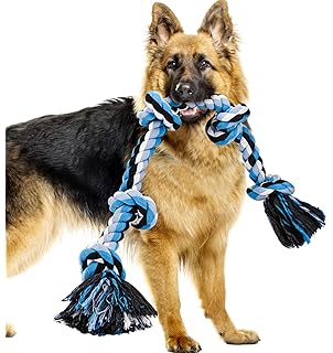 giant dog rope