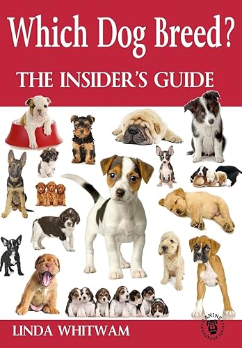 Which Dog Breed?: The Insider's Guide (Canine Handbooks) in Kenya