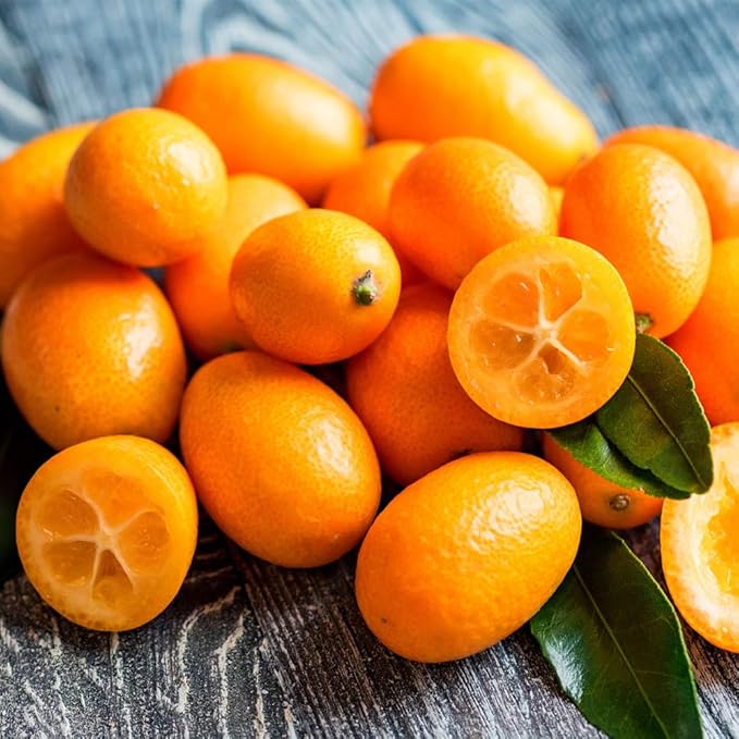 Amazon 金柑 みかん 完熟フルーツきんかん 1kg 2セットで1セットおまけ 熊本県産 ハウス栽培 柑橘 Foody S みかん 柑橘類 通販