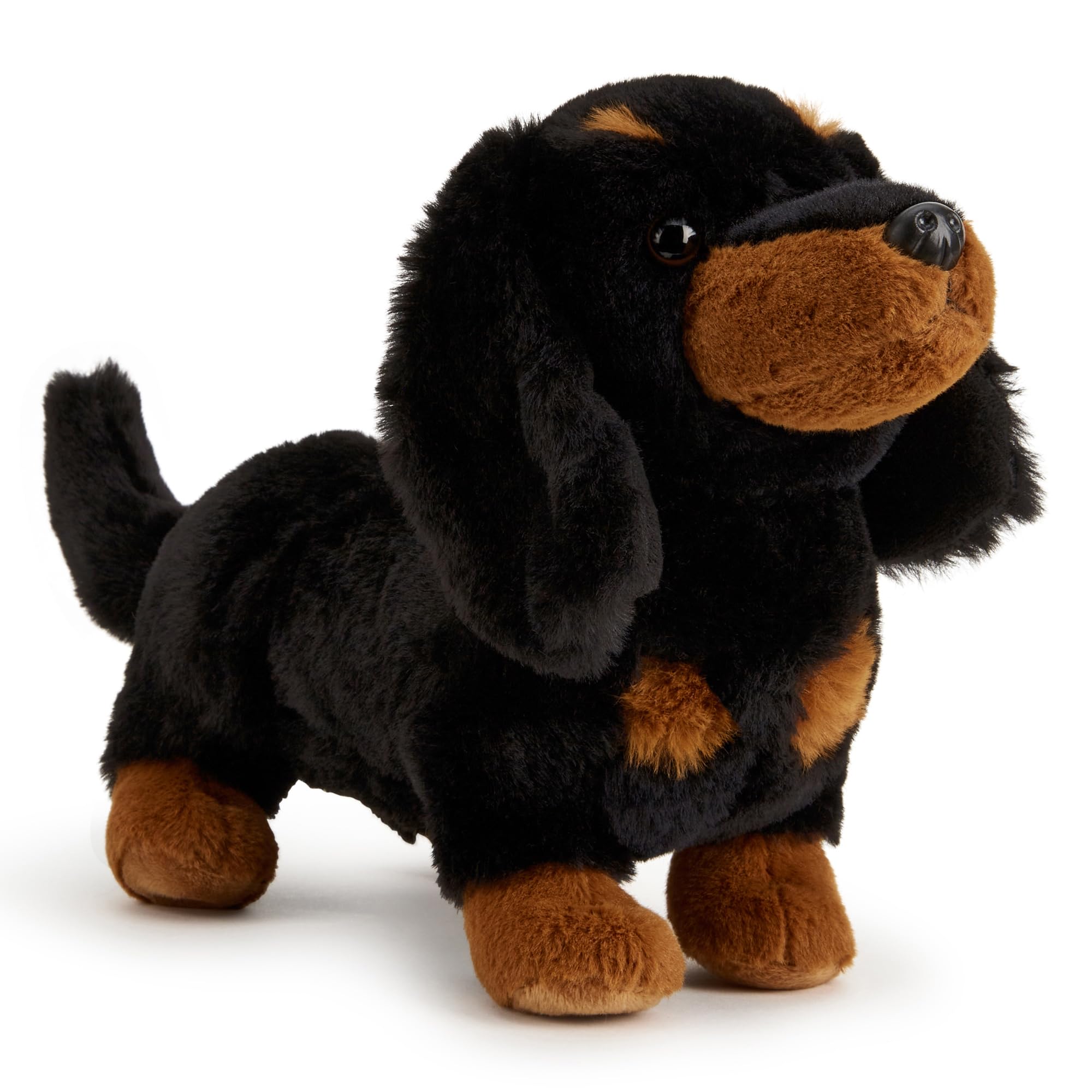 Zappi Co Daisy the Dachshund Plush Toy Sausage Dog (20cm) Sausage Dog Delight - Soft, Cuddly, Recycled - Adorable Elongated Friend — image 1