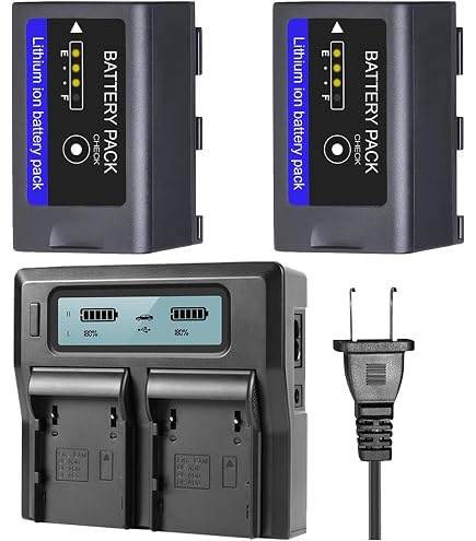 Amazon.com: Digital Nc Fully Decoded for Canon BP-A30 BP-A60
