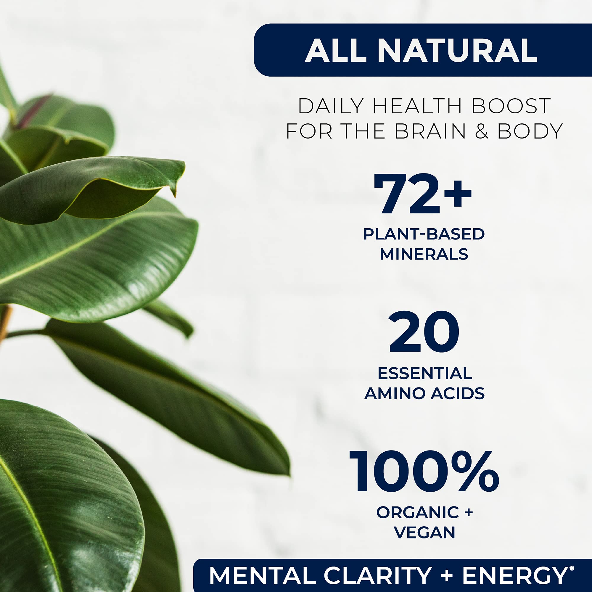 Miracles of Health Liquid Chelated Minerals - Organic Humic Fulvic Mineral Blend - 72+ Plant-Based Minerals, 20 Essential Amino Acids - 100% Natural - 1 Month Supply, 32 fl. oz