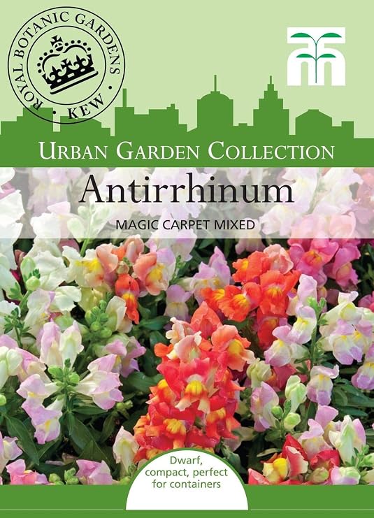 Portal Cool Thompson & Morgan - Jardãn Urbano Flores - Antirrhinum ...
