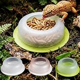 YOGURTCK 3-Pack Reptile Feeding Bowl with Bait Window, Escape-Proof Mealworm Dish, Wide Base Non-Spill Design for Leopard Gecko Lizard Skink Crested Gecko Small Reptiles - Round Base
