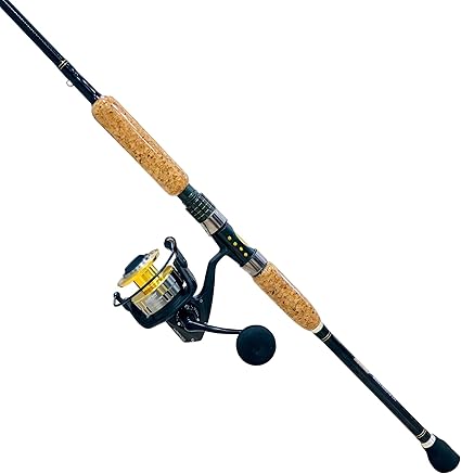 offshore fishing rod and reel