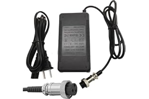 YAREMYEYE 24V(29.4V max) Charger for Razor MX350 Charger Scooter, Crazy Cart, Dirt Quad ATV, Pocket Mod, Motorcycle, MX400 Dirt Rocket, E300, E200, E100, Moped, Go Kart Battery Cargador