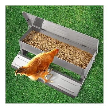 Chicken Feeder Automatic Aluminium Feed Chook Poultry Amazon In