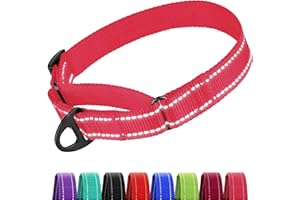 CollarDirect Reflective Martingale Dog Collar Nylon Heavy Duty Training Pet Collars for Small Medium Large Dogs Puppy Black Blue Lime Mint Green Red Pink Purple Red (L, Neck Size 16"-24", Pink)