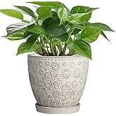 MPotTo 6.9 Inch Plant Pot with Drainage Hole and Saucer Ceramic Planter for Indoor Plant Flower Pot for Orchid Succulents Plants White