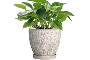 MPotTo 6 Inch Plant Pot with Drainage Hole and Saucer Ceramic Planter for Indoor Plant Flower Pot for Orchid Succulents Plants White