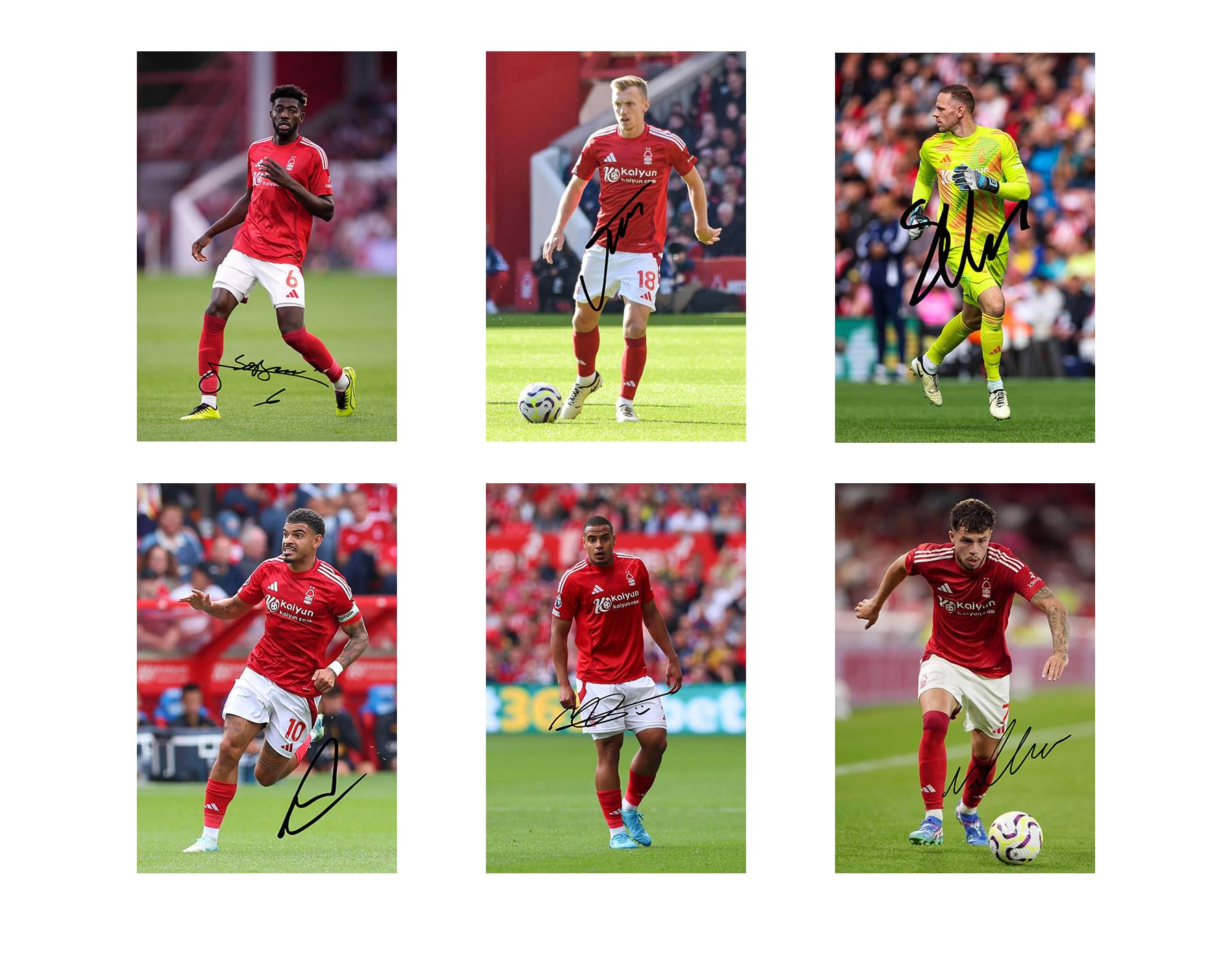 Set of 18 Individual Nottingham Forest 2024/5 Football Players Signed 6X4 Inch Photo Prints With Pre Printed Signatures That Would Make A Great Gift For Any Fan.