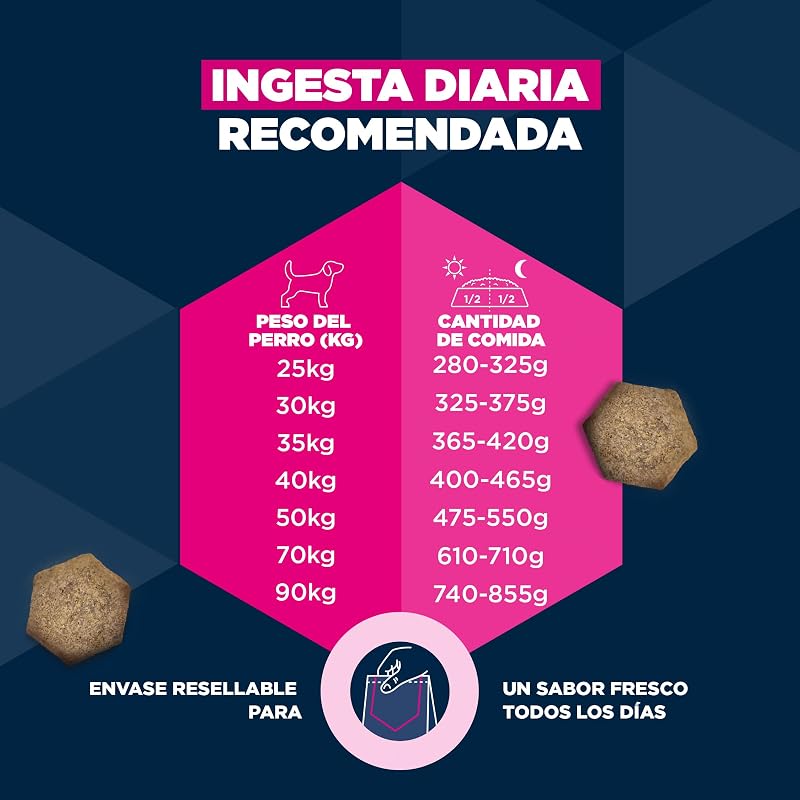 , alimento para Edad Avanzada con Pollo Fresco para Razas Grandes - Alimento seco Premium para Perros Senior, 3 kg