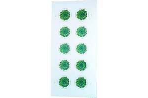 Green Succulent Sheet of 10 Global USPS First Class International Forever Postage Stamps (1)