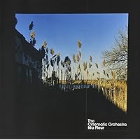 The Cinematic Orchestra - Ma Fleur - Amazon.com Music