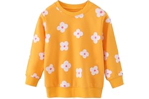 AIWUHE Toddler Sweatshirt Boys Girls Crewneck Pullover Tops Blouse Long Sleeve Cotton T-Shirt Fall Winter Clothes 2-6Y