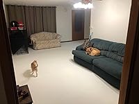 Review Image by Jacob Jacob