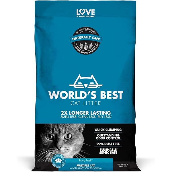 world's best cat litter zero mess review