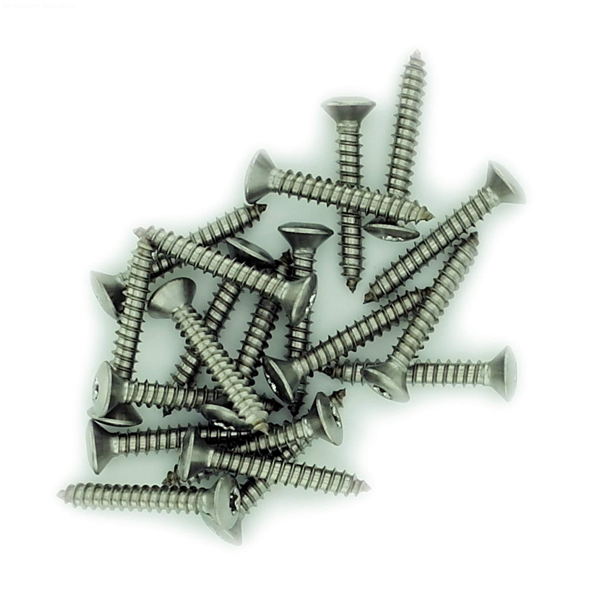No.7 x 0.25 (3.9mm x 6.5mm) TX Raised Countersunk Self-Tapping Screw - Stainless Steel (A2) (Pack of 20) — image 1