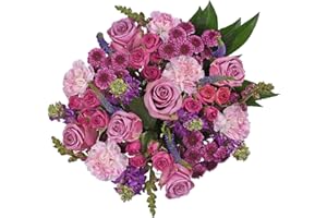 Floral Compass by Nature’s Flowers - Craft & Creativity Flower Bouquet - Prime Eligible, 30+ Fresh Cut Flowers for Delivery, No Vase