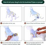 Kuoser Dog Recovery Suit Premium Cotton Spandex Blue XS Post Surgery view 4