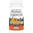 Host Defense Cordyceps Capsules - Immune & Energy Support Supplement - Kidney Health Supplement with Cordyceps - Fitness Support Supplement to Aid Oxygen Uptake - 60 Capsules (30 Servings)*