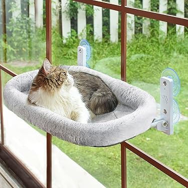 Best Cat Hammock for Window: Ultimate Comfort & Views Guide