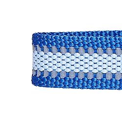 Blueberry Pet Large Dog Collar in Reflective Navy