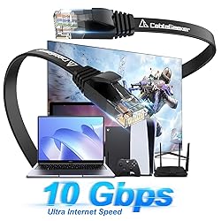 Cat 6 Ethernet Cable 3ft