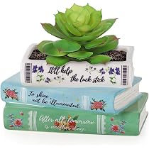 Amazon.com : Book Planter Pots for Plants, Ceramic Planters with ...